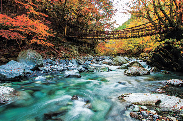 奥祖谷かずら橋