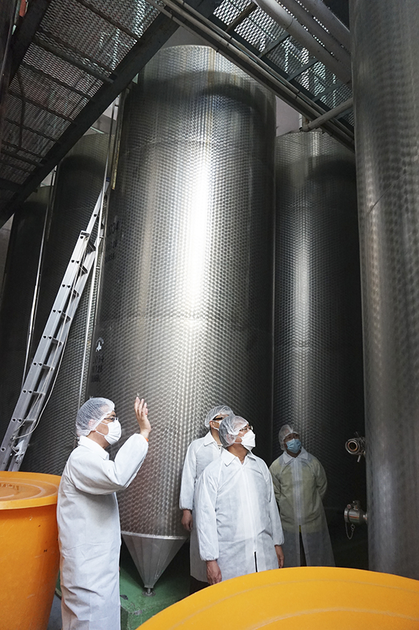 北海道ワインの工場見学プレミアムツアー