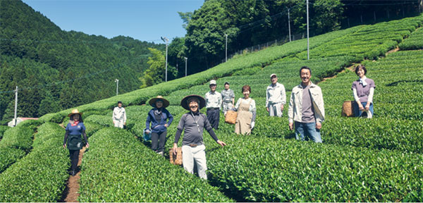 幾里茶