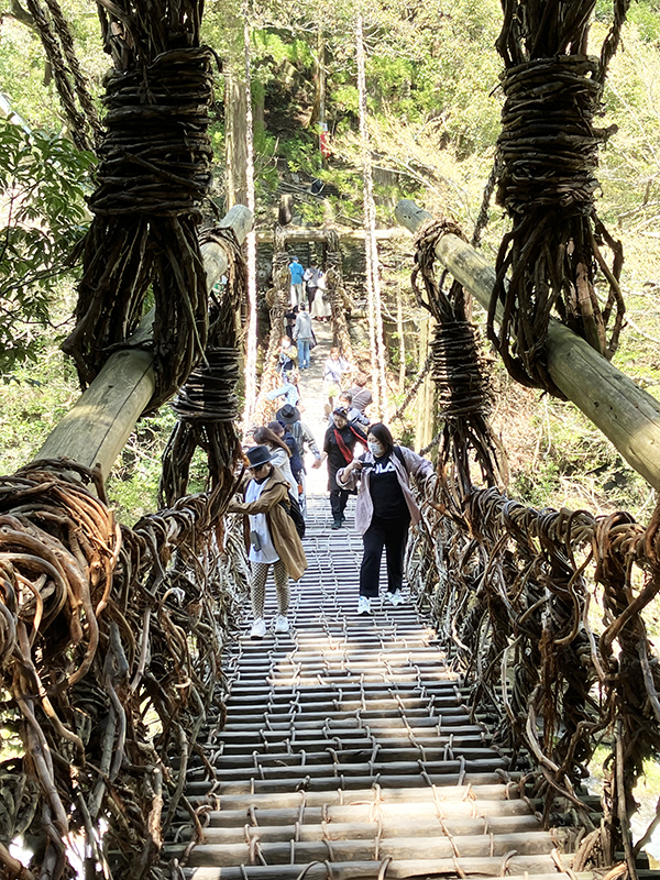 祖谷のかずら橋