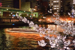 大阪水上バス夜桜船