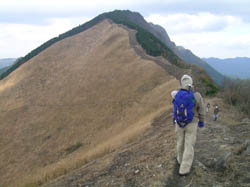 亀山峠あたりの稜線